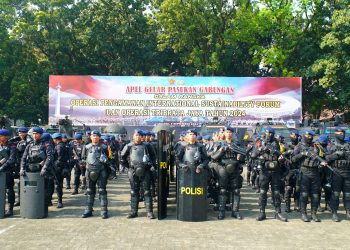 Polisi Tanpa Senjata Api, Apakah Ada?