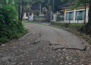 Taman Nasional Gunung Halimun Salak