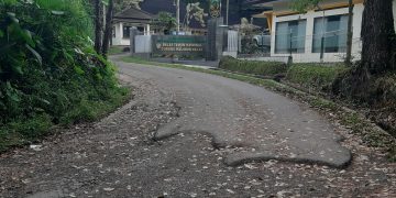 Taman Nasional Gunung Halimun Salak