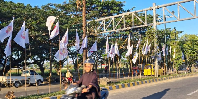 Ribuan Kayu Mangrove Dipakai Tiang Bendera Parpol di Papua Barat Daya
