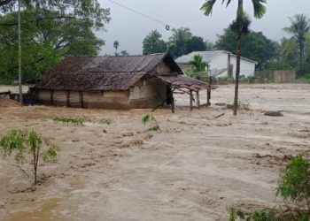 Mengawal Pencabutan Izin Perusahaan Penyebab Banjir Sumatera