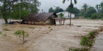 Mengawal Pencabutan Izin Perusahaan Penyebab Banjir Sumatera