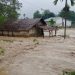 Mengawal Pencabutan Izin Perusahaan Penyebab Banjir Sumatera