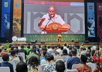 Gubernur Papua Barat Daya Blakblakan soal Hutan hingga Tambang di Papua Milik Jenderal